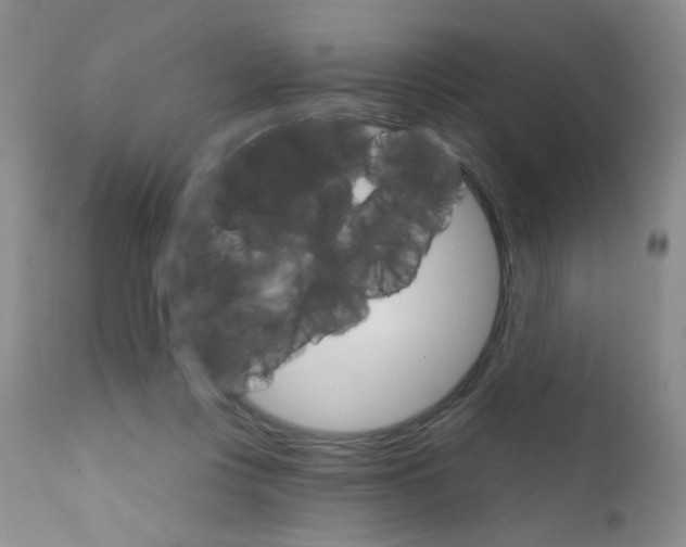 X0000111800359200909031234