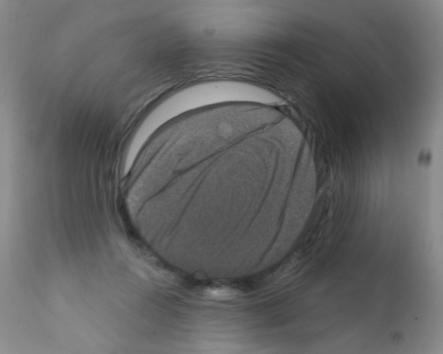 X0000111800360200909031234