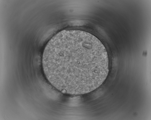 X0000111800362200909031234