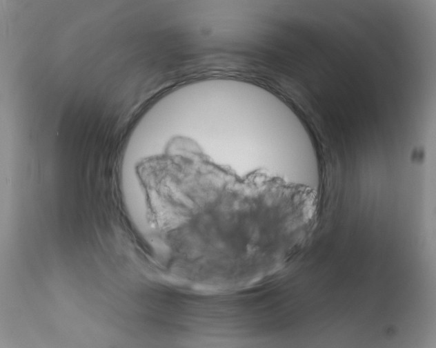 X0000111800363200909031234