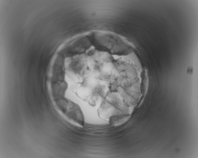X0000111800365200909031234