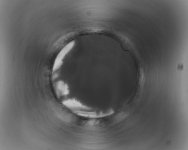 X0000111800366200909031234