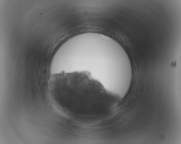X0000111800367200909031234