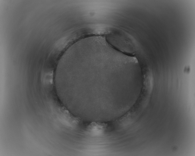 X0000111800368200909031234