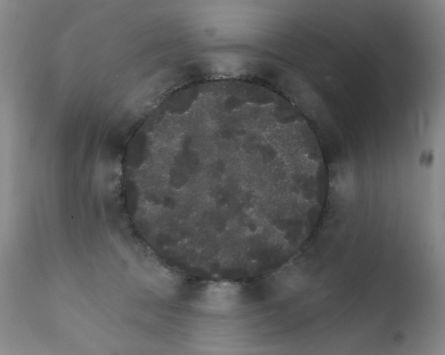 X0000111800369200909031234