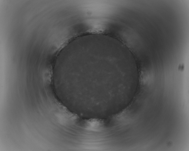 X0000111800370200909031234