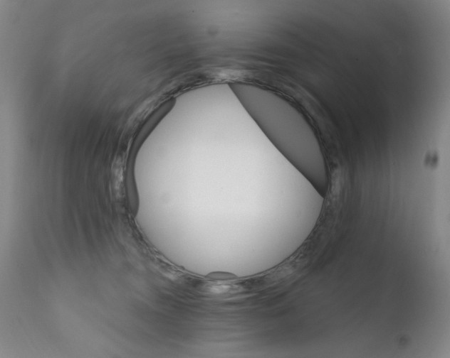 X0000111800372200909031234