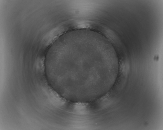 X0000111800373200909031235