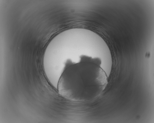 X0000111800375200909031235