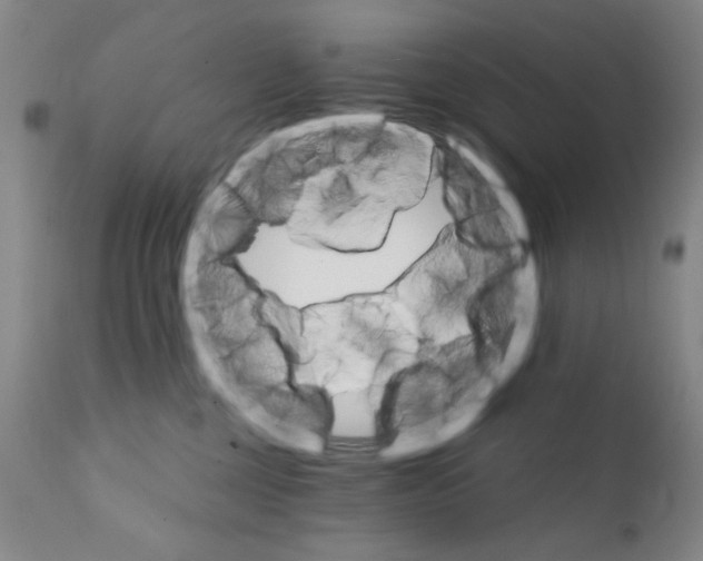 X0000111800377200909031235