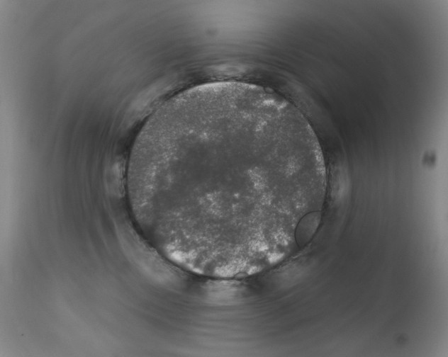 X0000111800378200909031235