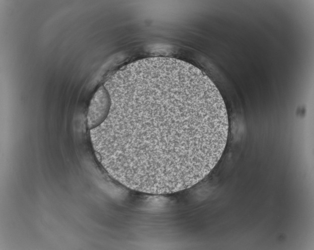 X0000111800379200909031235