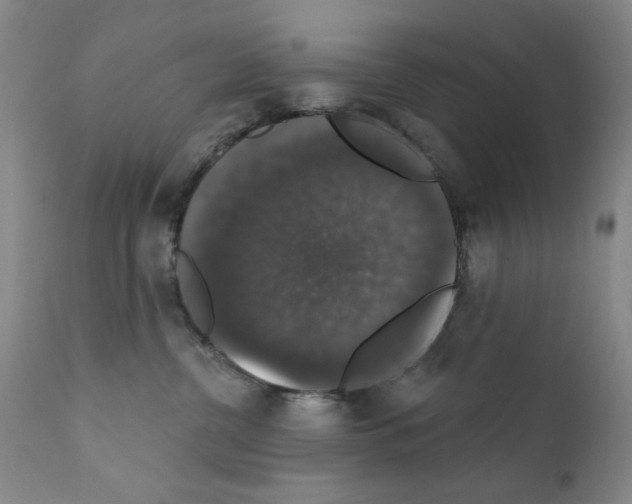 X0000111800380200909031235
