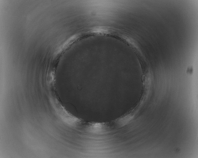 X0000111800382200909031235