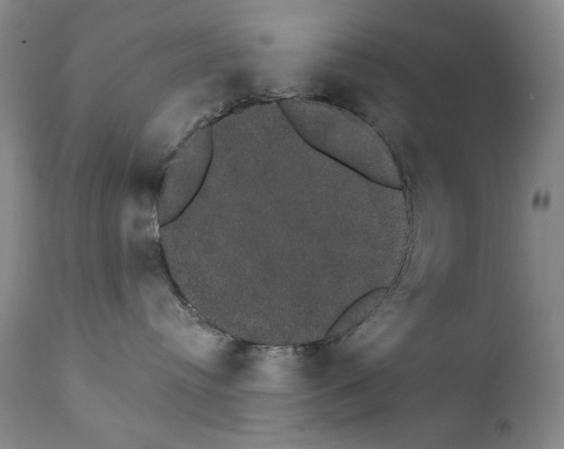 X0000111800384200909031235