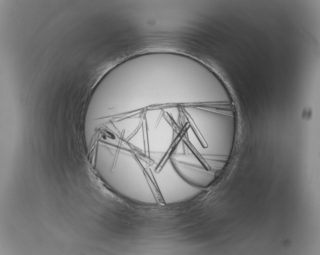 X0000111800385200909031234