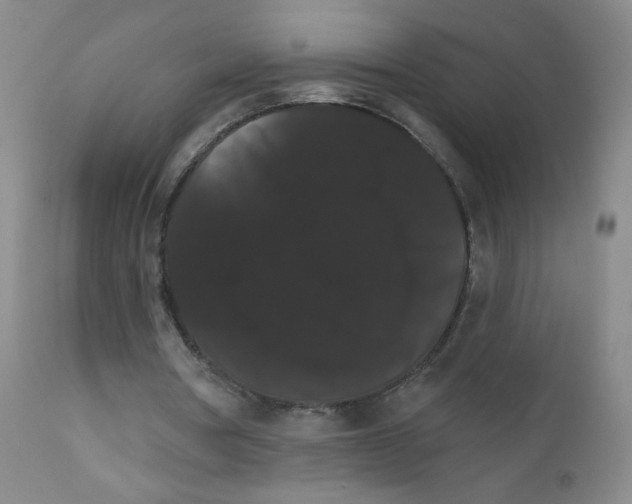 X0000111800386200909031234