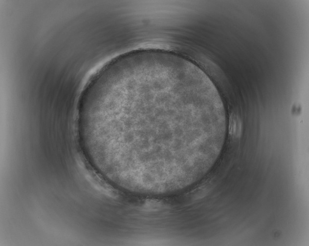X0000111800388200909031234