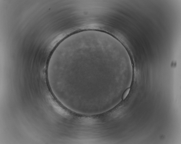 X0000111800389200909031234