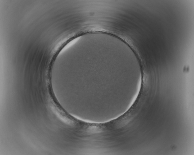 X0000111800390200909031234