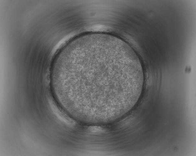 X0000111800392200909031234