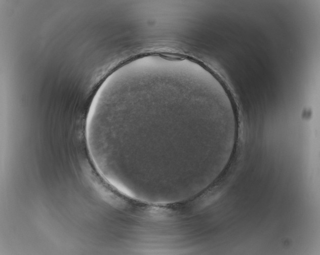 X0000111800393200909031234