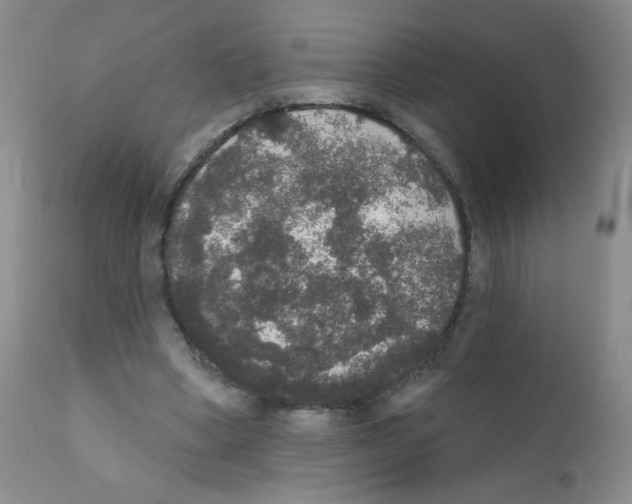 X0000111800394200909031234
