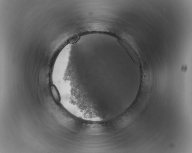 X0000111800395200909031234