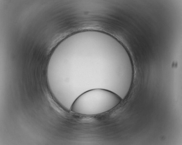 X0000111800397200909031234