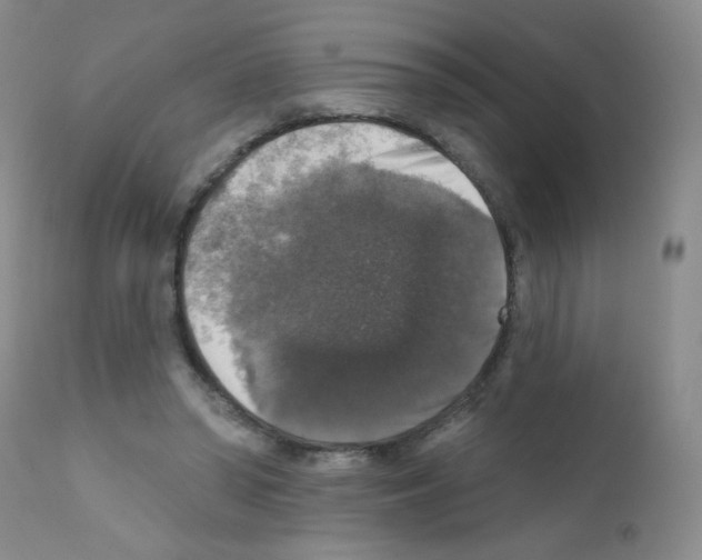 X0000111800398200909031234