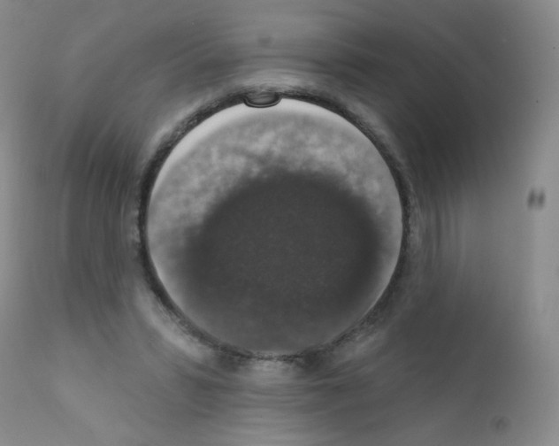 X0000111800399200909031234