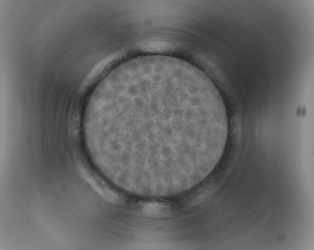 X0000111800400200909031234