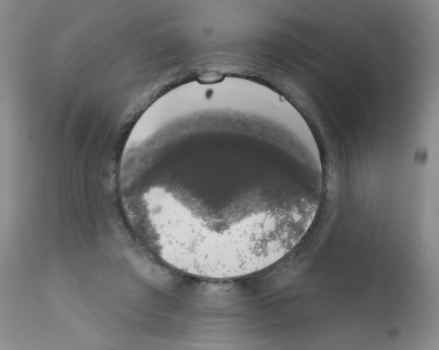X0000111800401200909031234