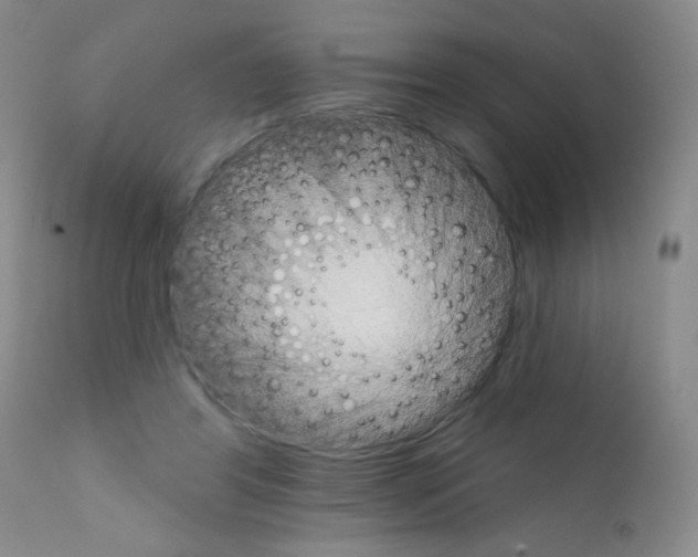 X0000111800404200909031234