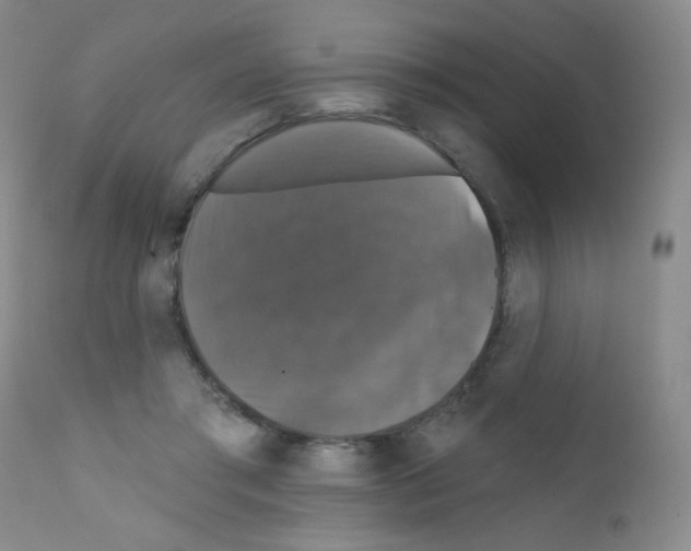X0000111800405200909031234