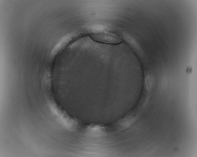 X0000111800407200909031234