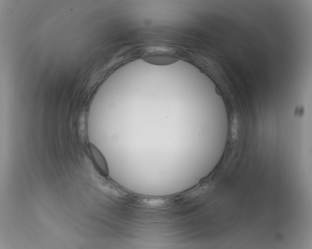X0000111800409200909031234