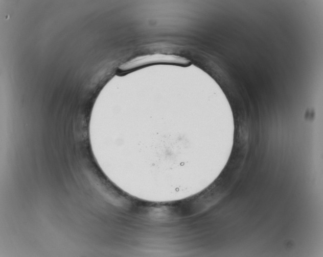 X0000111800411200909031234
