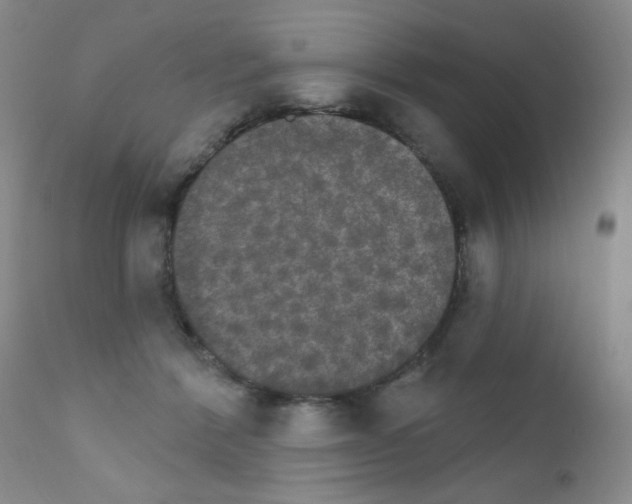 X0000111800412200909031234