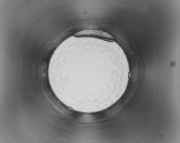 X0000111800413200909031234