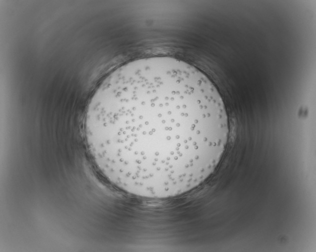 X0000111800414200909031234