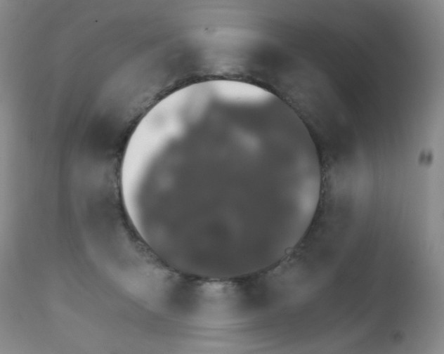 X0000111800415200909031234