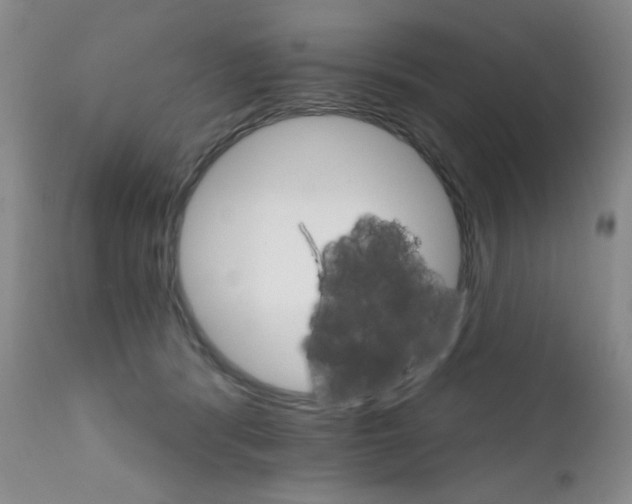 X0000111800416200909031234