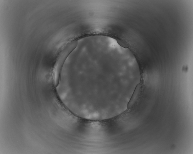 X0000111800423200909031233