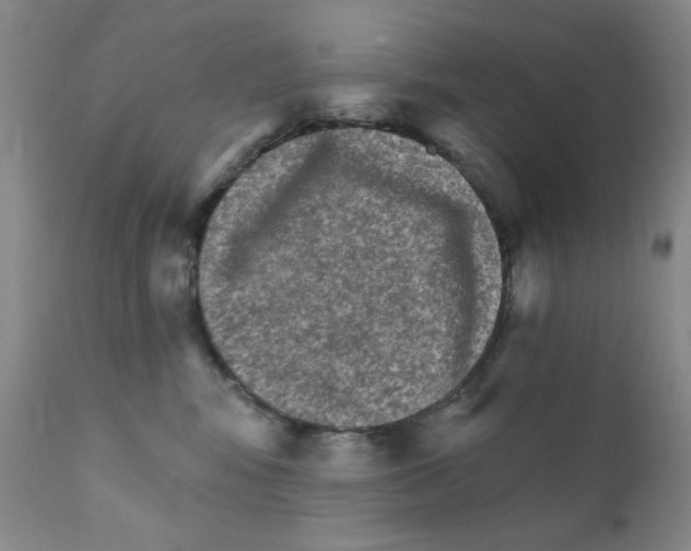 X0000111800424200909031233