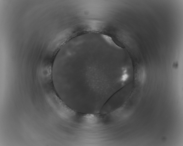X0000111800425200909031233