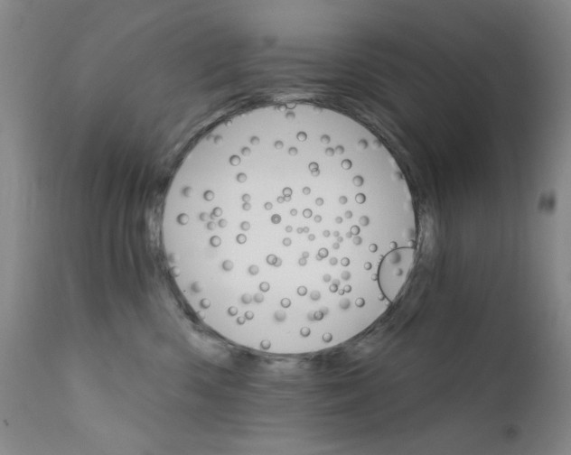 X0000111800426200909031233