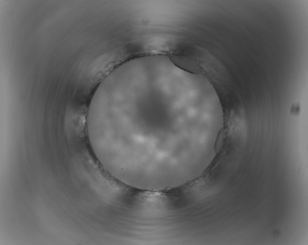 X0000111800427200909031233