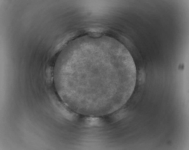 X0000111800428200909031233
