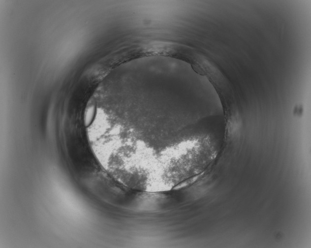 X0000111800429200909031233